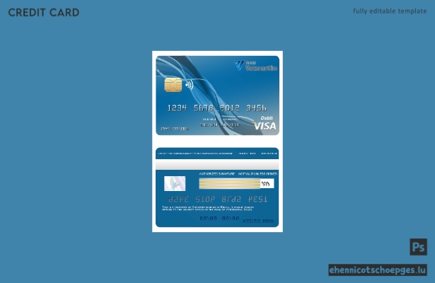 Beispielvorschau der brasilianischen Votorantim Bank Visa-Karte